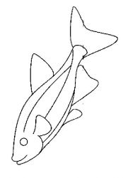 plansa de colorat animale pestisori #8