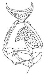 plansa de colorat animale pestisori #9