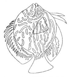 plansa de colorat animale pestisori #14