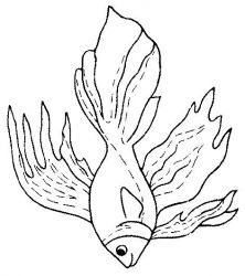 plansa de colorat animale pestisori #6