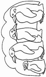 plansa de colorat animale pinguini #11