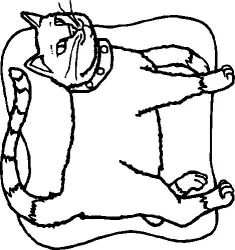 plansa de colorat animale #4