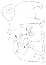 plansa de colorat animale #5