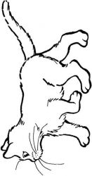 plansa de colorat animale #8