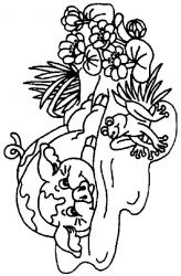 plansa de colorat animale #14