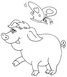 plansa de colorat animale #15