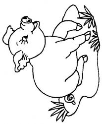 plansa de colorat animale #16