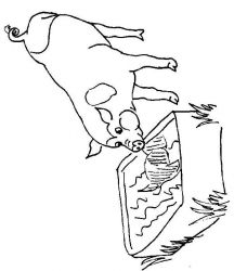 plansa de colorat animale #5