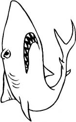 plansa de colorat animale rechini #13