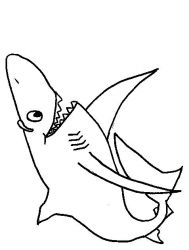 plansa de colorat animale rechini #16