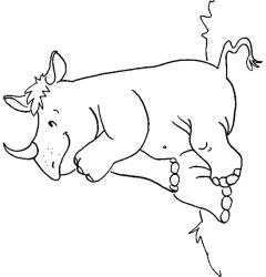 plansa de colorat animale #1