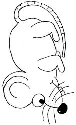 plansa de colorat animale #17