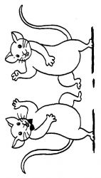 plansa de colorat animale #10