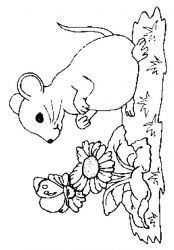 plansa de colorat animale #11