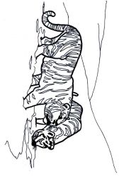 plansa de colorat animale #3