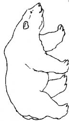 plansa de colorat animale ursuleti #2