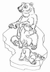 plansa de colorat animale ursuleti #13