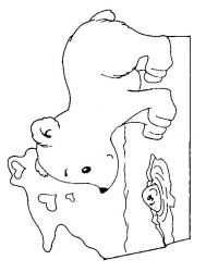 plansa de colorat animale #8