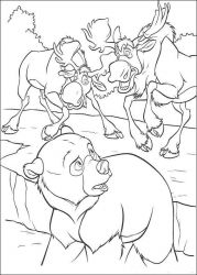 plansa de colorat brother bear #19