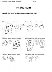 fise de lucru pentru  numere #9