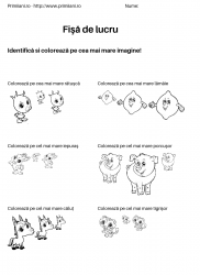 fise de lucru pentru  numere #11