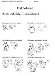 fise de lucru pentru  numere #19