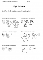 fise de lucru pentru  numere #20