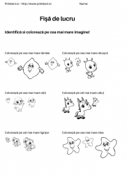 fise de lucru pentru  numere #21