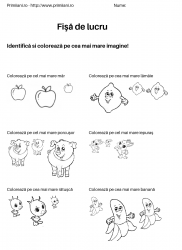 fise de lucru pentru  numere #21