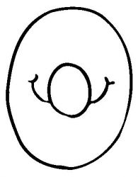 plansa de colorat cifre #10