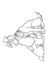 plansa de colorat doamna si vagabondul #6