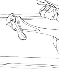 plansa de colorat finding nemo #2