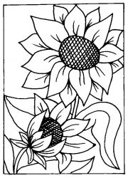 Planse De Colorat Cu Floarea Soarelui Desene De Colorat Cu Floarea Soarelui Floarea Soarelui De Colorat