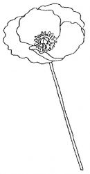 plansa de colorat flori #21