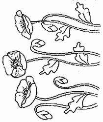 plansa de colorat flori #11