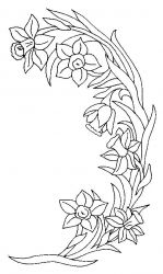 plansa de colorat flori narcise #3