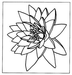 plansa de colorat flori #4