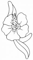 plansa de colorat flori #21