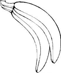 plansa de colorat fructe banane #5