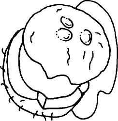 plansa de colorat fructe #8