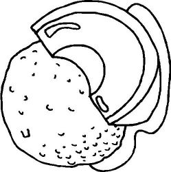 plansa de colorat fructe #10