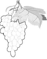 plansa de colorat fructe #11