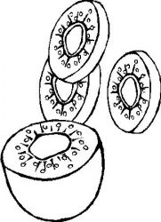 plansa de colorat fructe #17