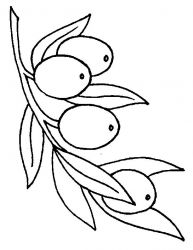 plansa de colorat fructe #21