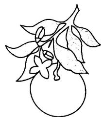 plansa de colorat fructe #6