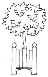 plansa de colorat fructe #7