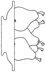 plansa de colorat fructe #13