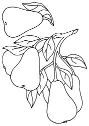 plansa de colorat fructe #14