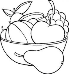 Desene In Creion Cu Fructe Si Flori