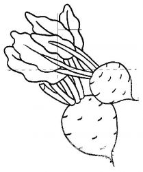 plansa de colorat fructe si legume #14